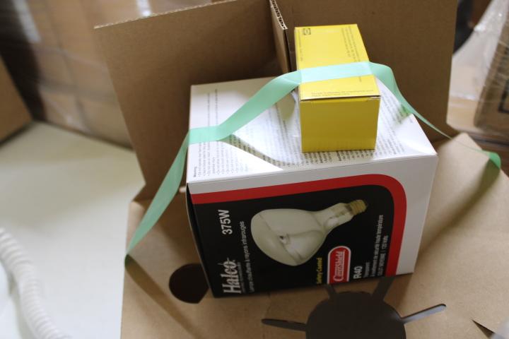 Auction item image